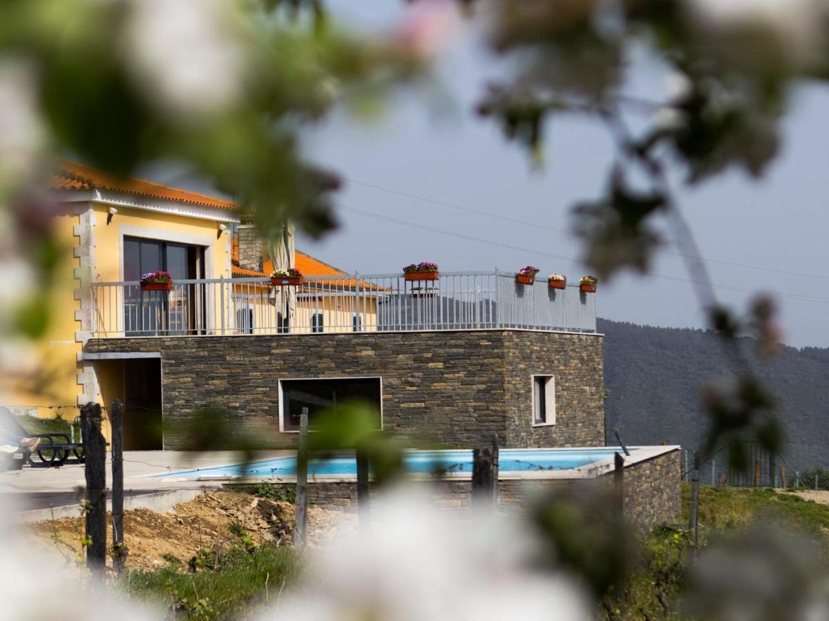 Quinta Da Laceira - Douro Valley - Alojamento Local ヴィラ・レアル エクステリア 写真